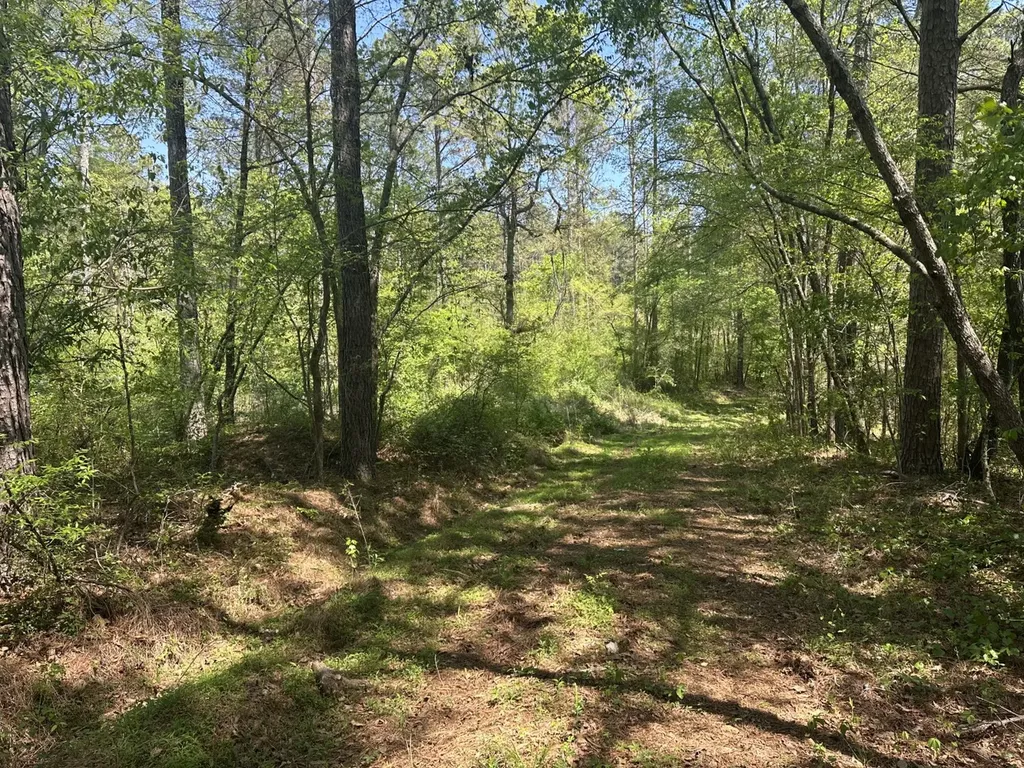 0 South Sauty Road County Road Guntersville AL 35755