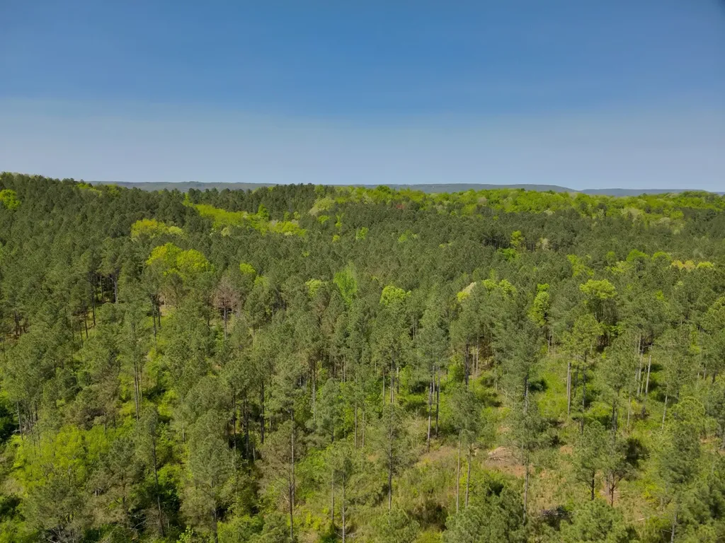 0 South Sauty Road County Road Guntersville AL 35755