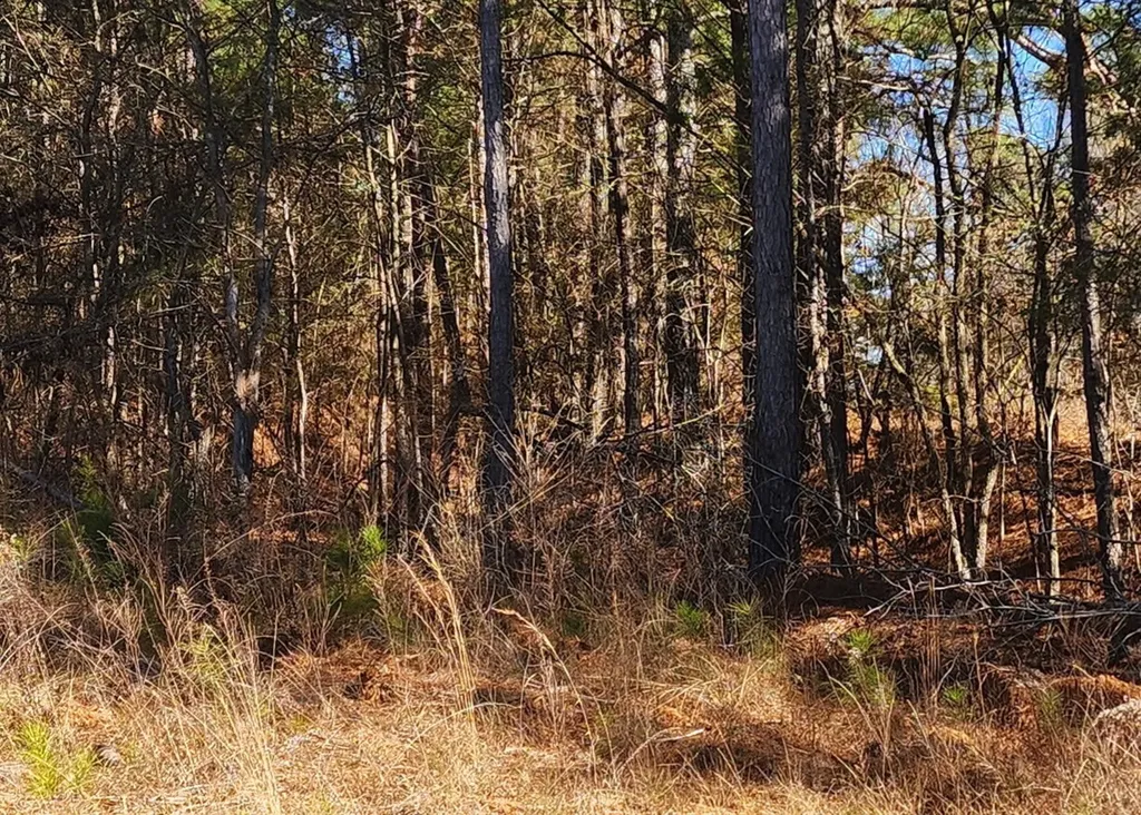 0 South Sauty Road County Road Guntersville AL 35755