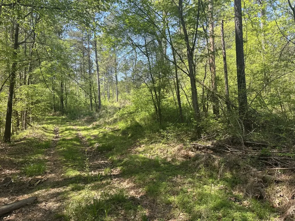 0 South Sauty Road County Road Guntersville AL 35755