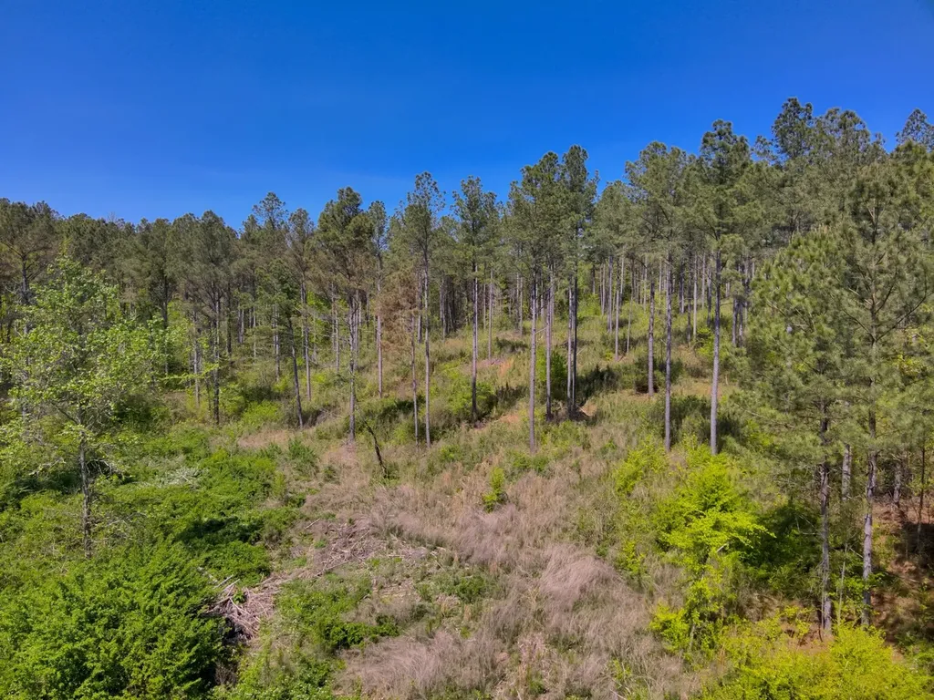 0 South Sauty Road County Road Guntersville AL 35755