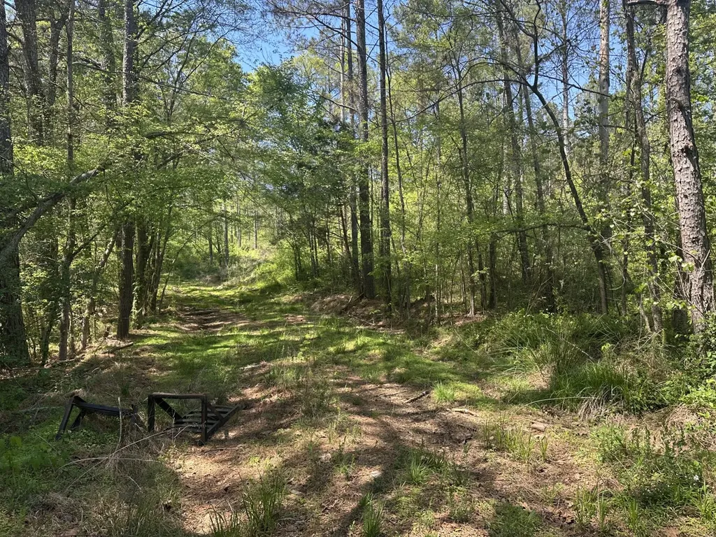 0 South Sauty Road County Road Guntersville AL 35755