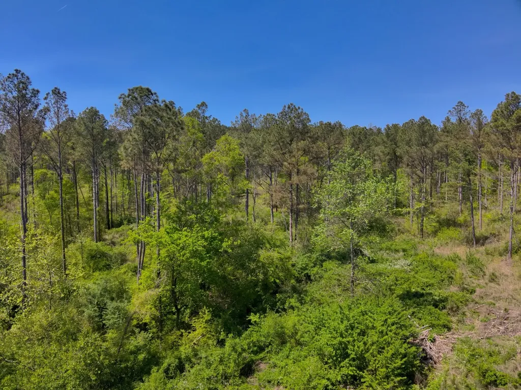 0 South Sauty Road County Road Guntersville AL 35755