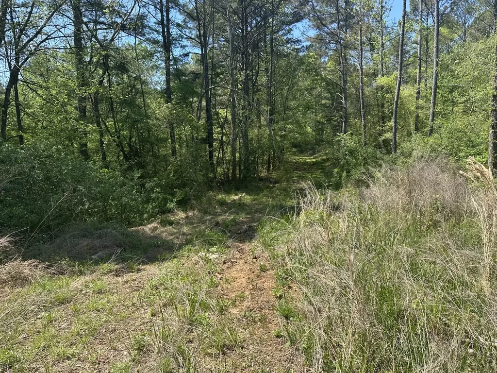 0 South Sauty Road County Road Guntersville AL 35755