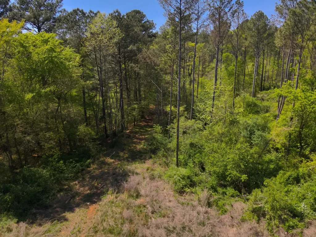 0 South Sauty Road County Road Guntersville AL 35755