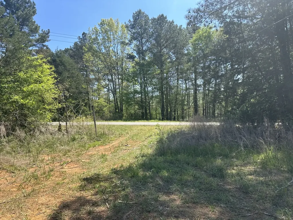 0 South Sauty Road County Road Guntersville AL 35755
