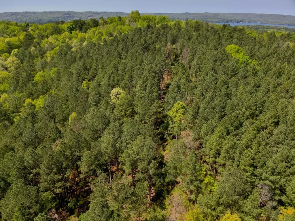 0 South Sauty Road County Road Guntersville AL 35755