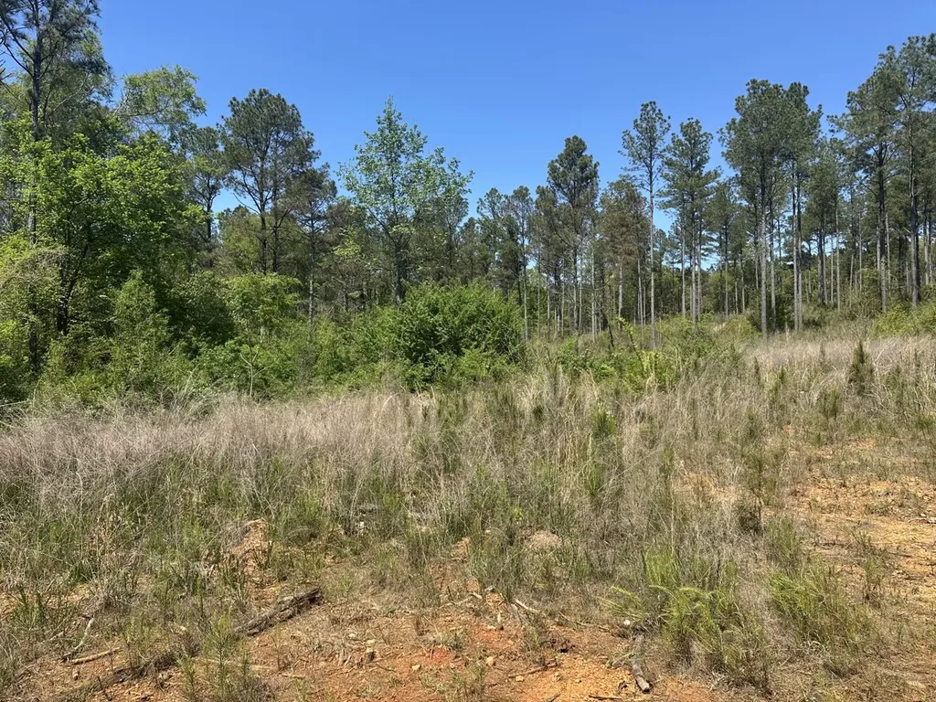 0 South Sauty Road County Road Guntersville AL 35755