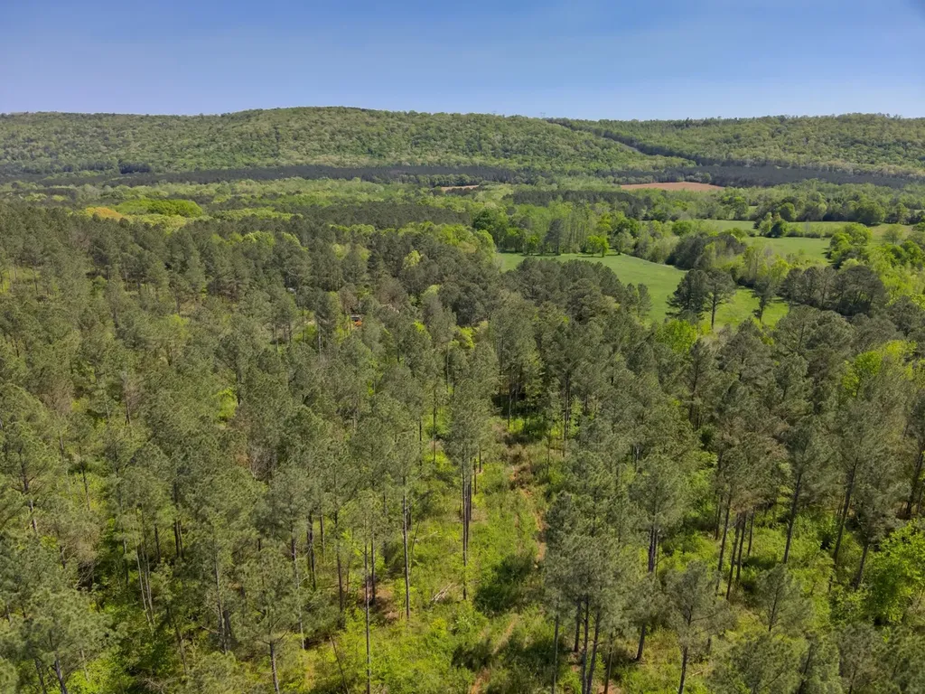 0 South Sauty Road County Road Guntersville AL 35755