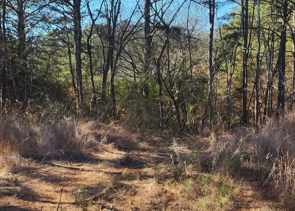 0 South Sauty Road County Road Guntersville AL 35755