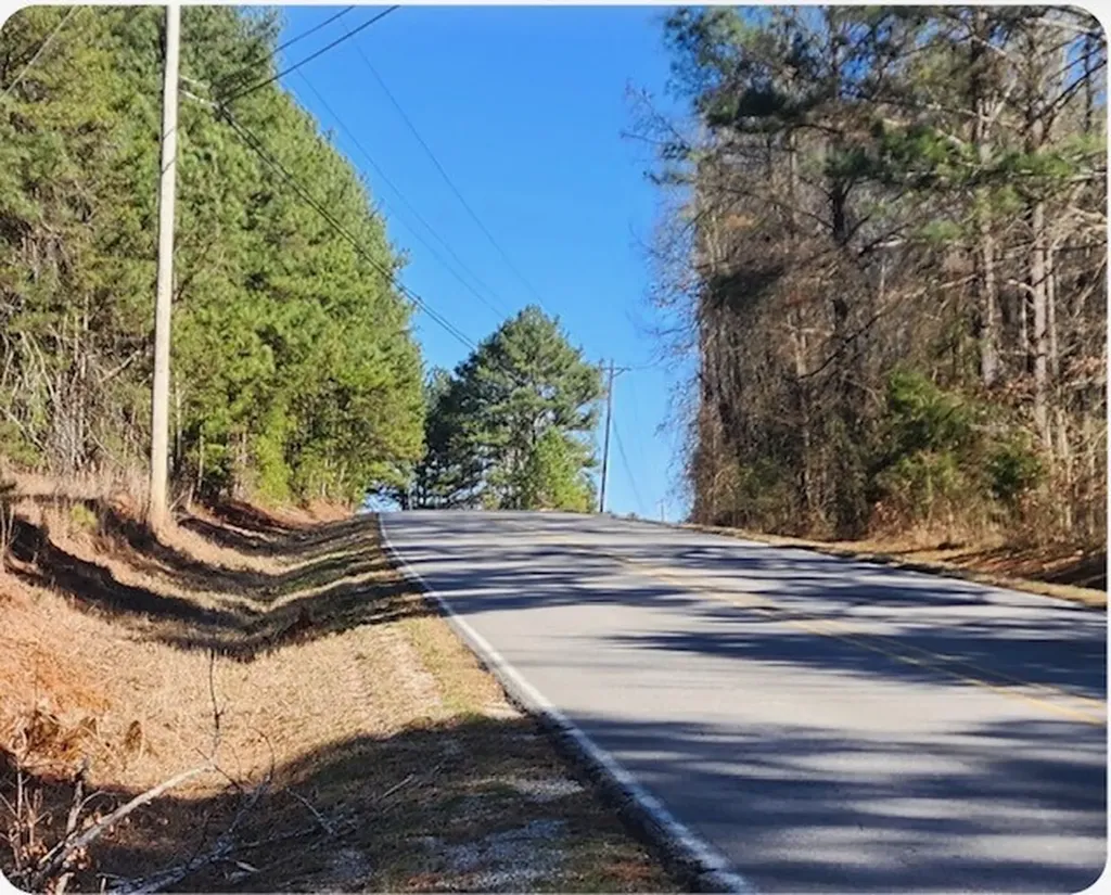 0 South Sauty Road County Road Guntersville AL 35755