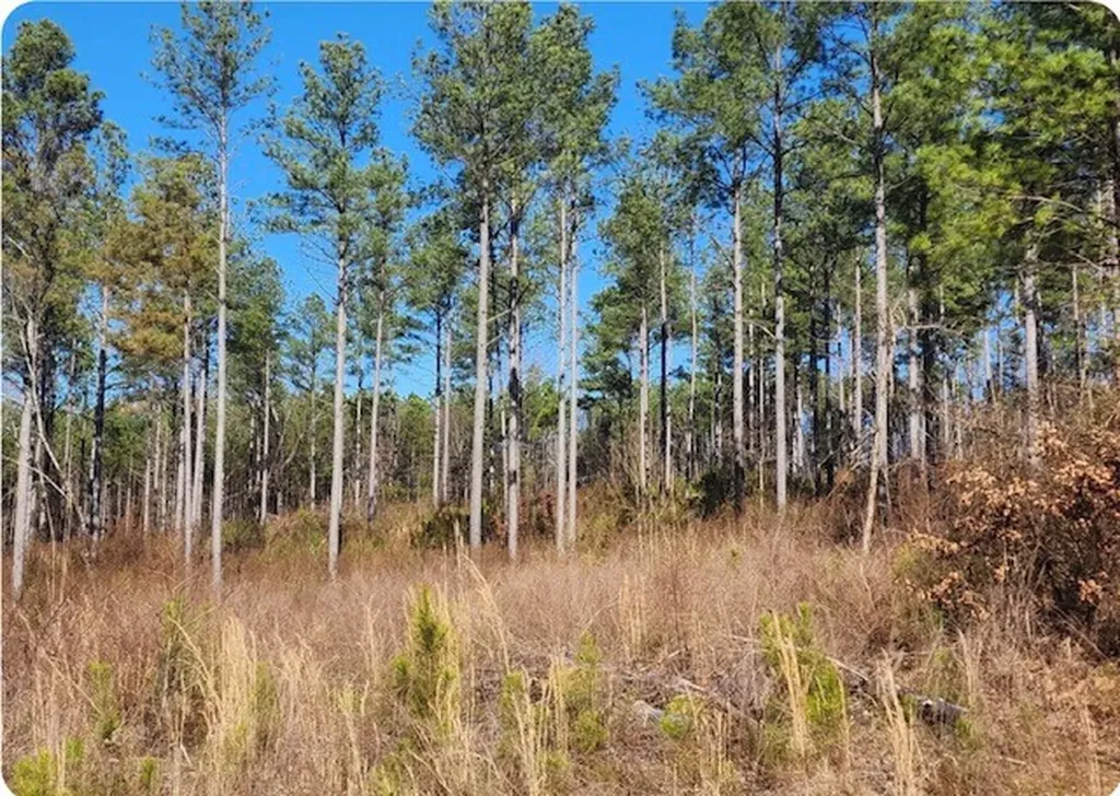 0 South Sauty Road County Road Guntersville AL 35755