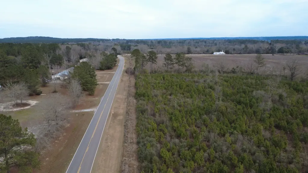 5 County Road 239 New Brockton AL 36351