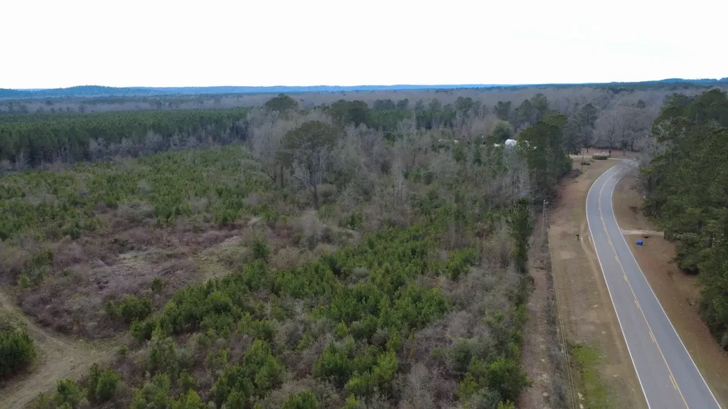 5 County Road 239 New Brockton AL 36351