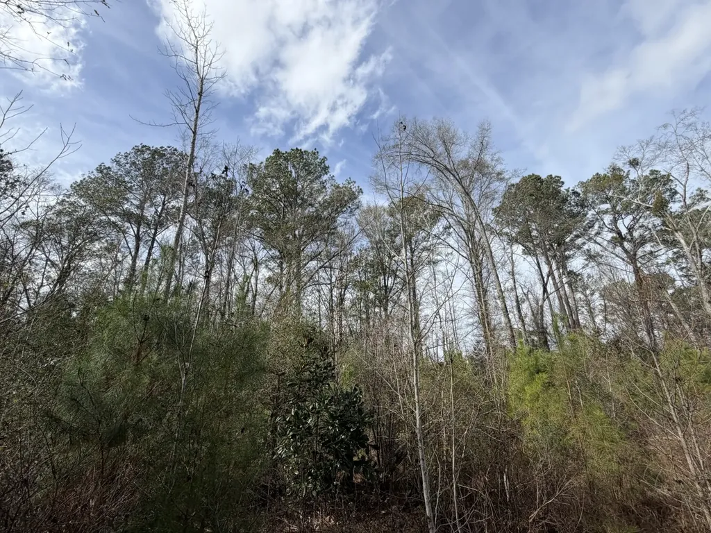 5 County Road 239 New Brockton AL 36351