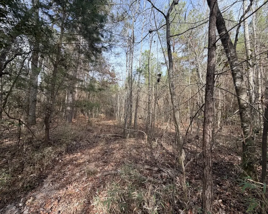 5 County Road 239 New Brockton AL 36351