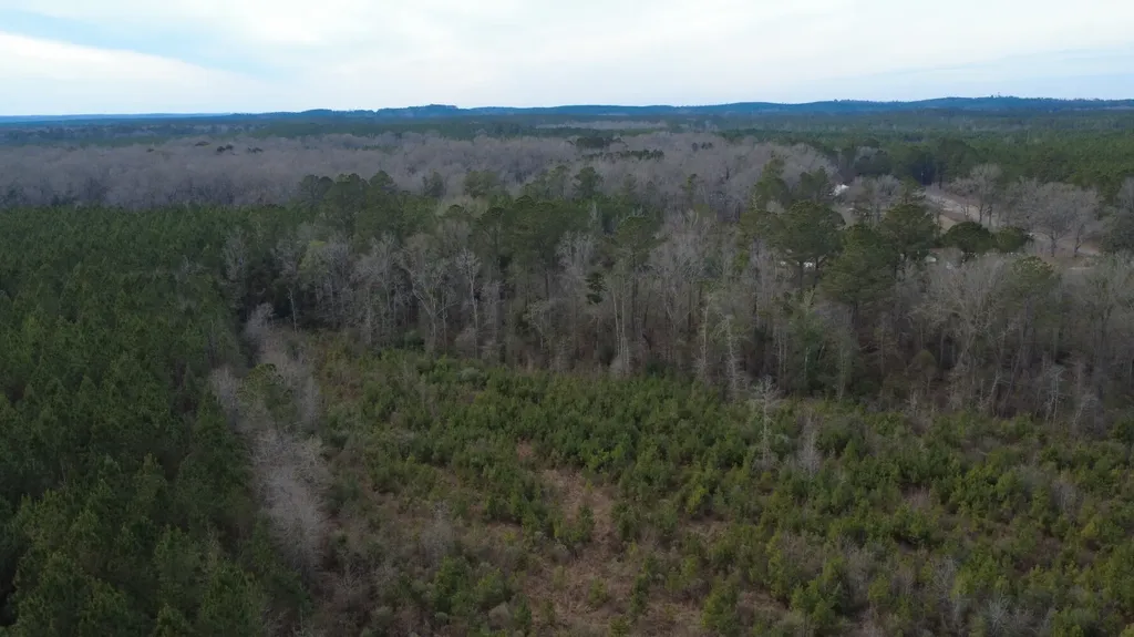 5 County Road 239 New Brockton AL 36351