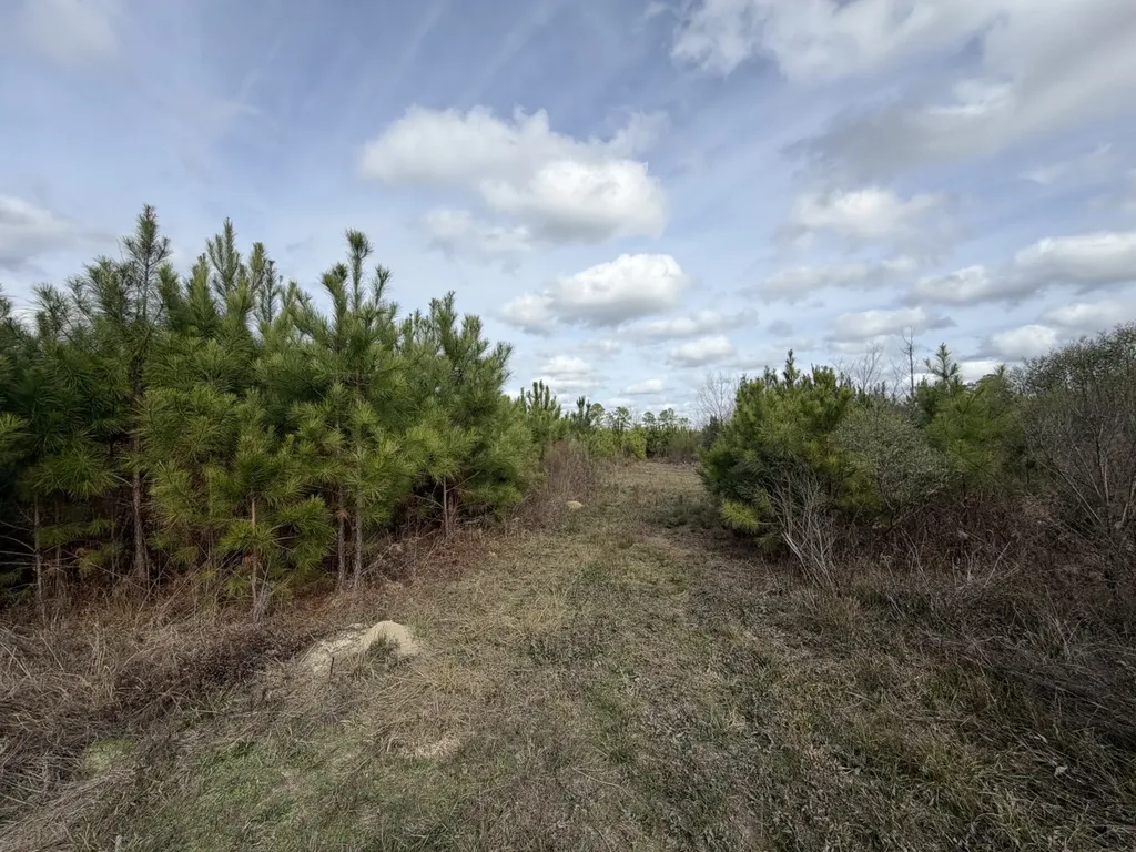 5 County Road 239 New Brockton AL 36351