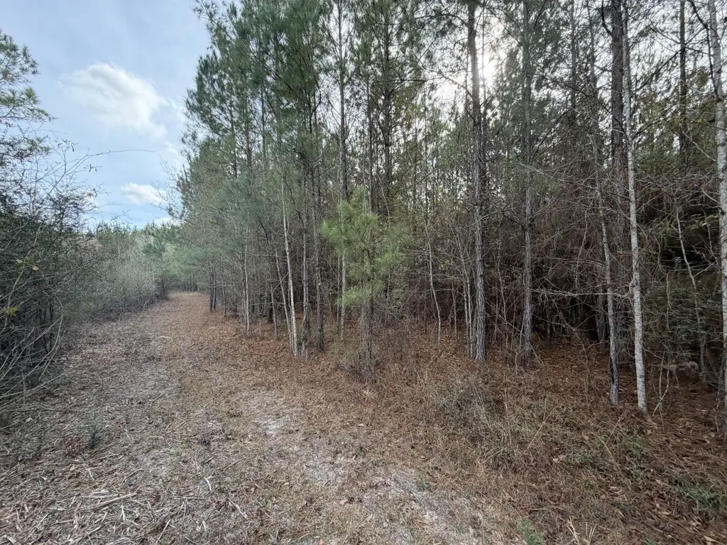 5 County Road 239 New Brockton AL 36351