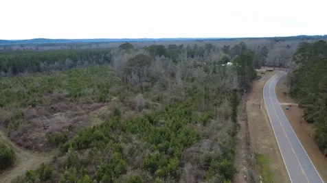 5 County Road 239 New Brockton AL 36351