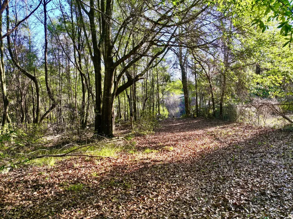 314 Cherokee Drive Jackson AL 36545