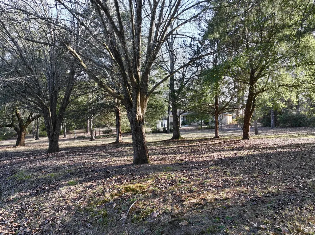 314 Cherokee Drive Jackson AL 36545