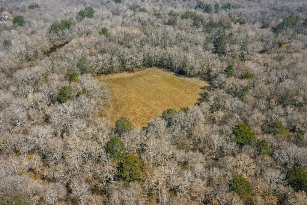 0 Highway 106 Branltey AL 36009