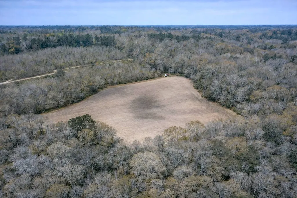 0 Highway 106 Branltey AL 36009