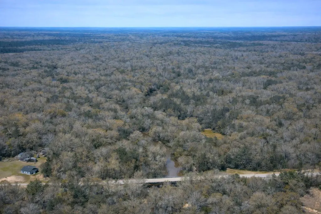 0 Highway 106 Branltey AL 36009