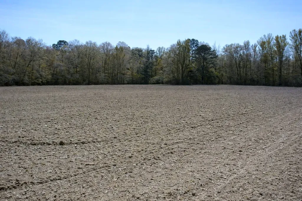 0 Highway 106 Branltey AL 36009
