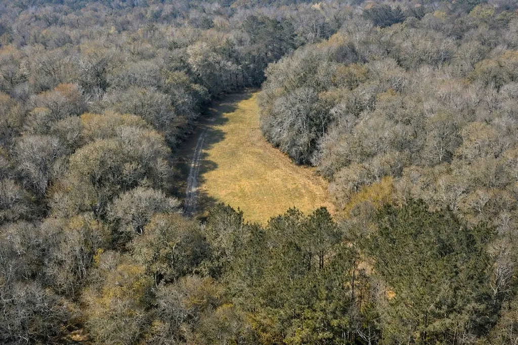 0 Highway 106 Branltey AL 36009