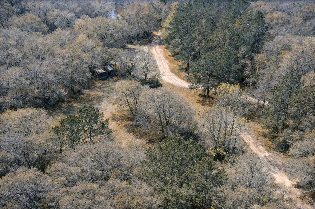 0 Highway 106 Branltey AL 36009