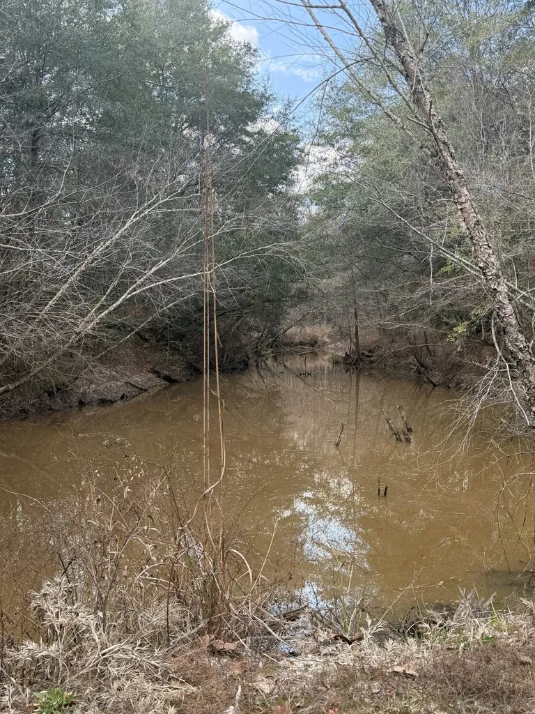 0 Highway 106 Branltey AL 36009
