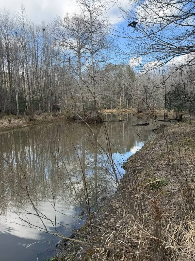 0 Highway 106 Branltey AL 36009