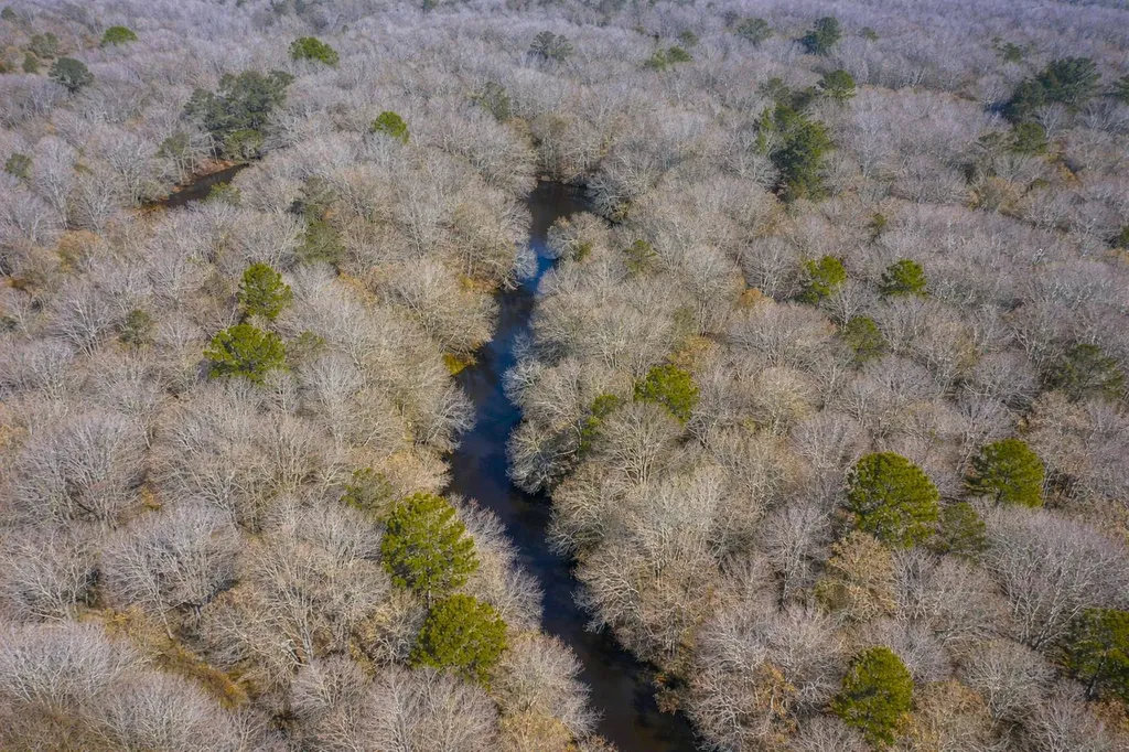 0 Highway 106 Branltey AL 36009