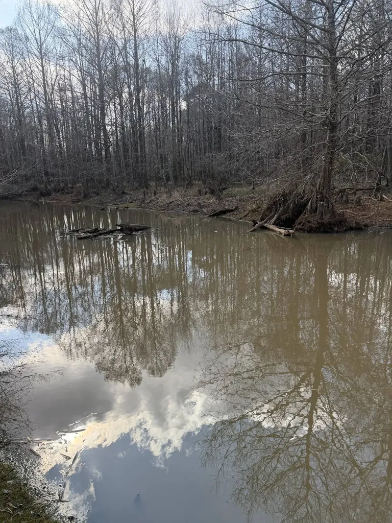 0 Highway 106 Branltey AL 36009