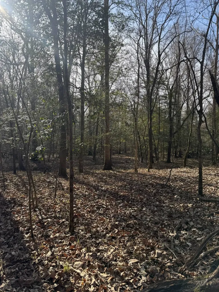 0 Highway 106 Branltey AL 36009