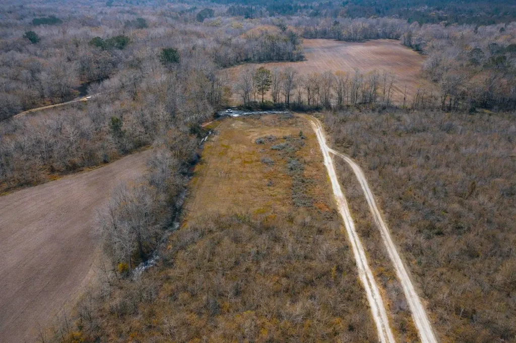 0 Highway 106 Branltey AL 36009