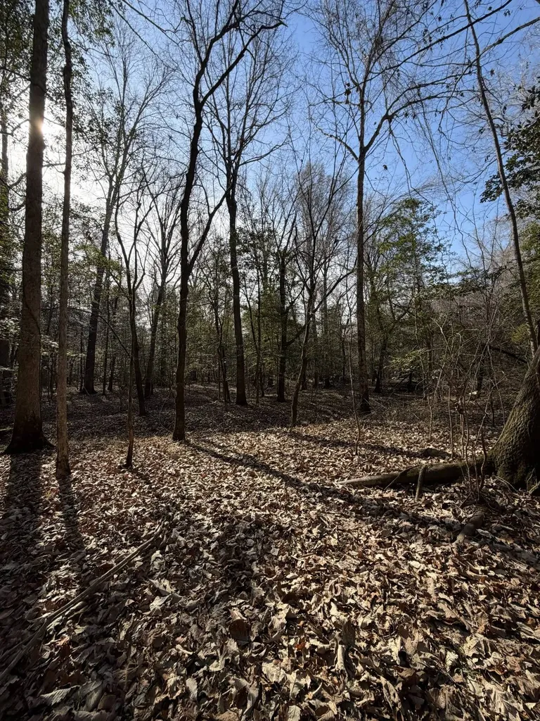 0 Highway 106 Branltey AL 36009