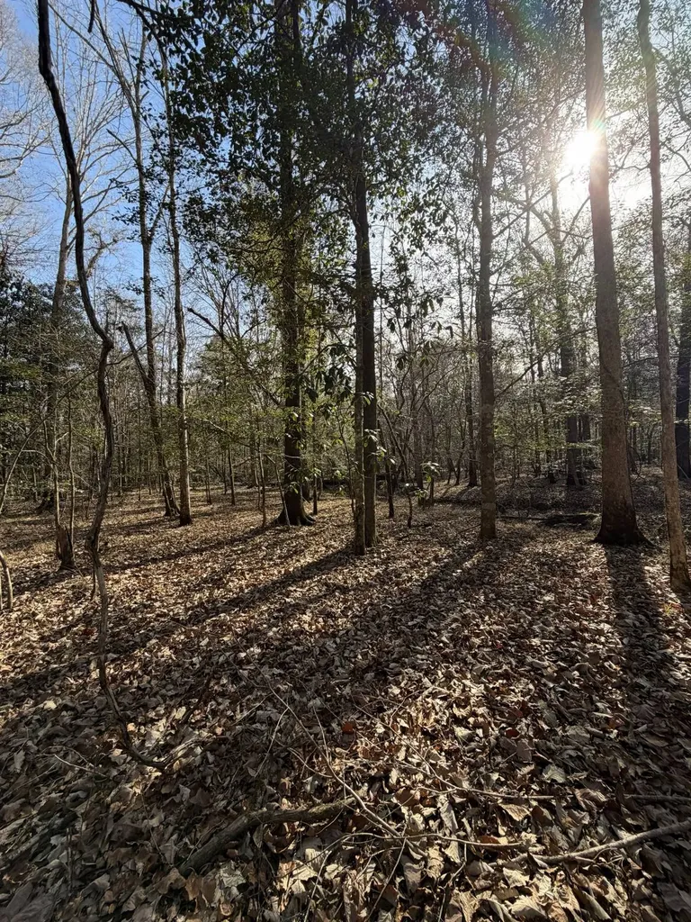 0 Highway 106 Branltey AL 36009