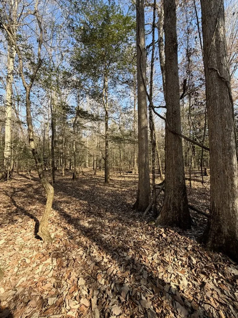 0 Highway 106 Branltey AL 36009