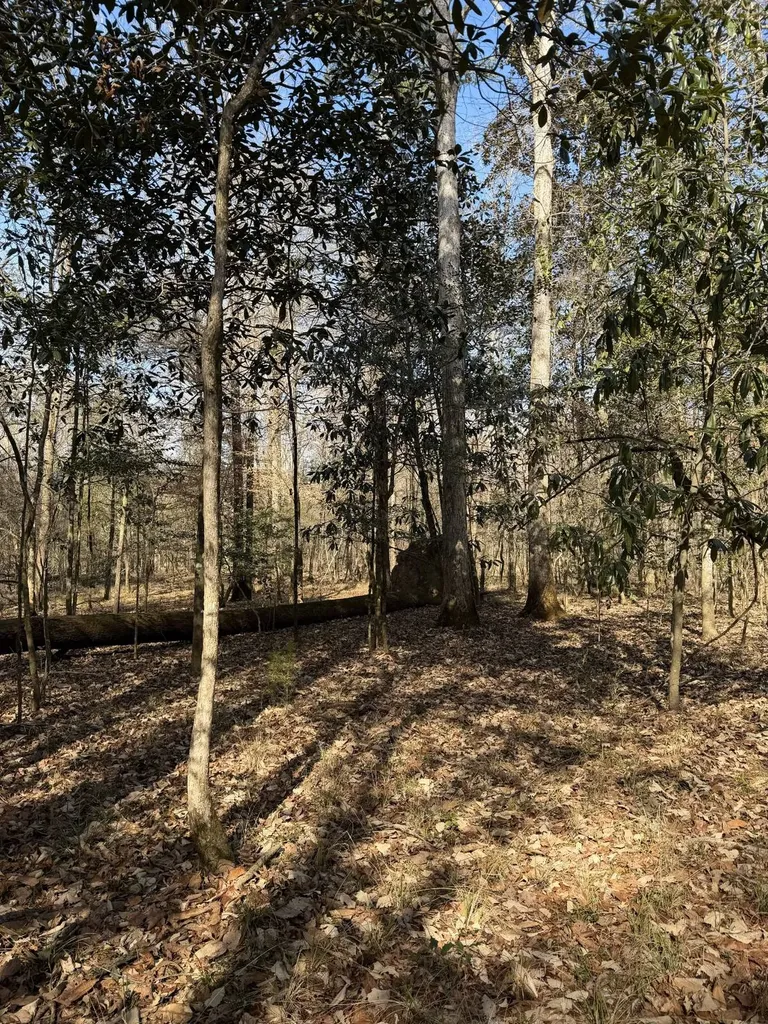0 Highway 106 Branltey AL 36009