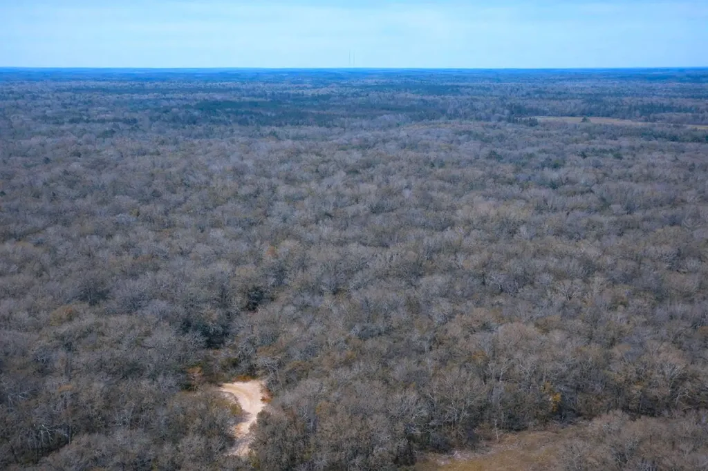 0 Highway 106 Branltey AL 36009
