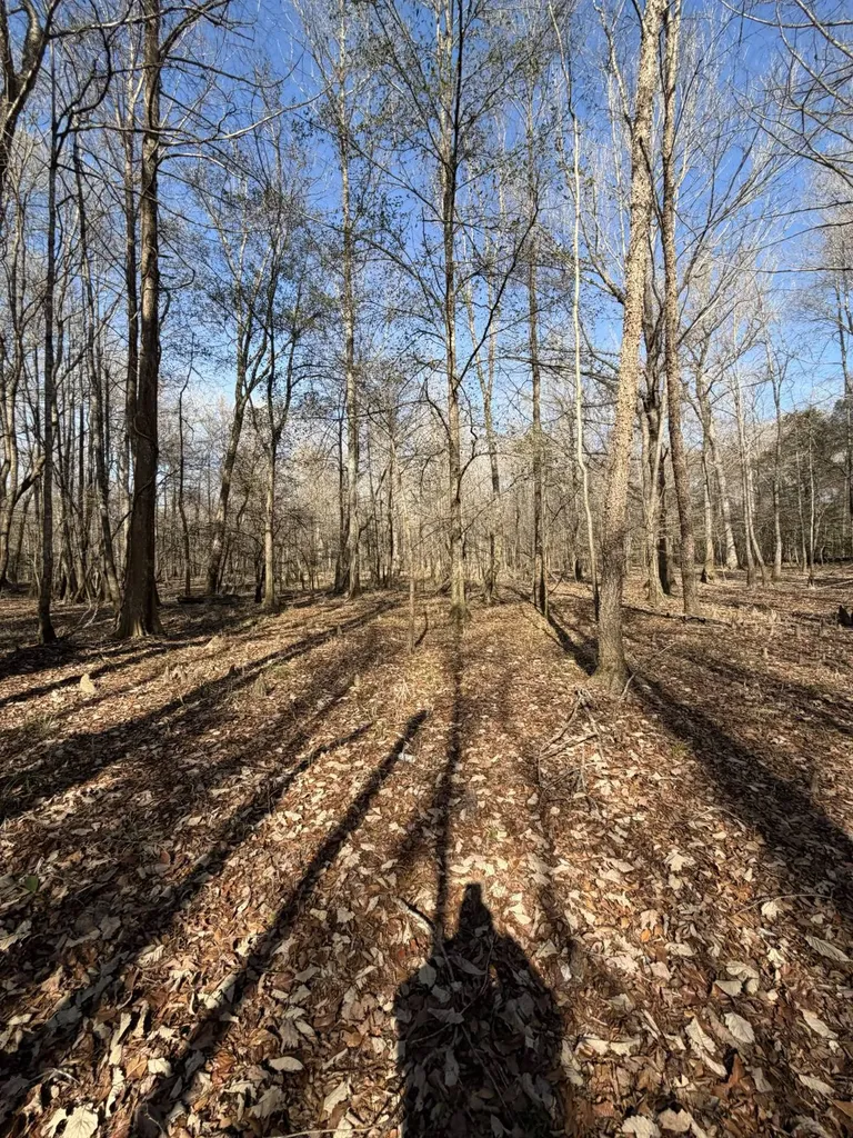 0 Highway 106 Branltey AL 36009
