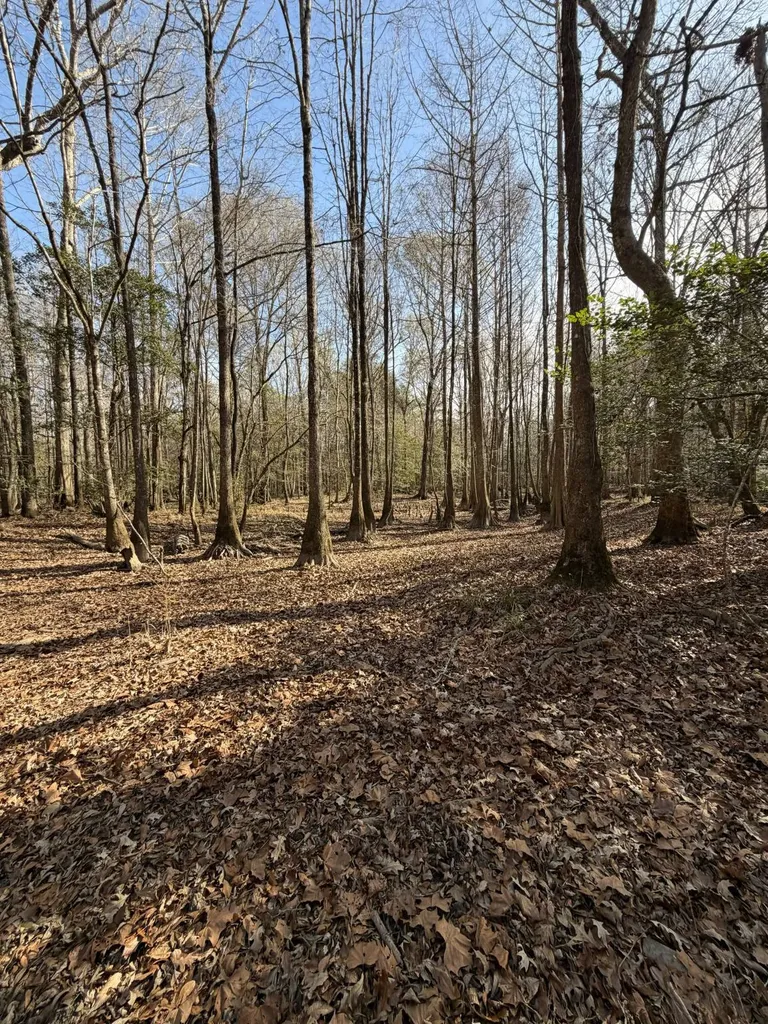 0 Highway 106 Branltey AL 36009
