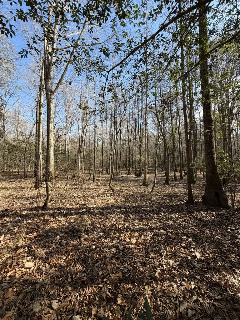 0 Highway 106 Branltey AL 36009