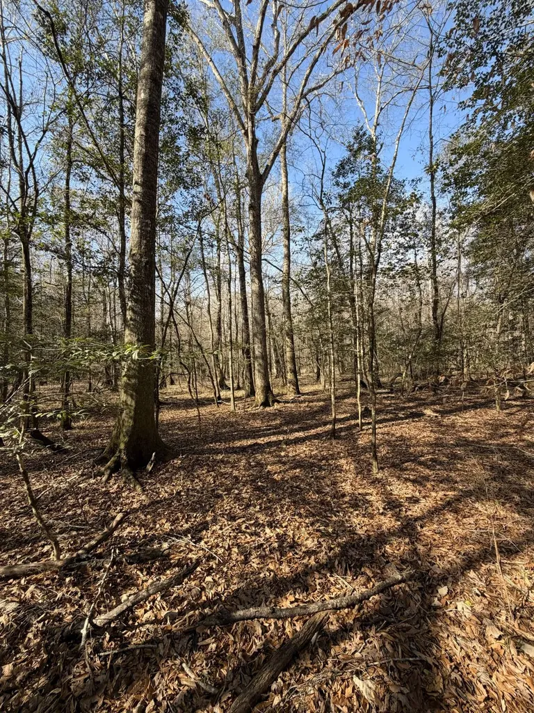 0 Highway 106 Branltey AL 36009