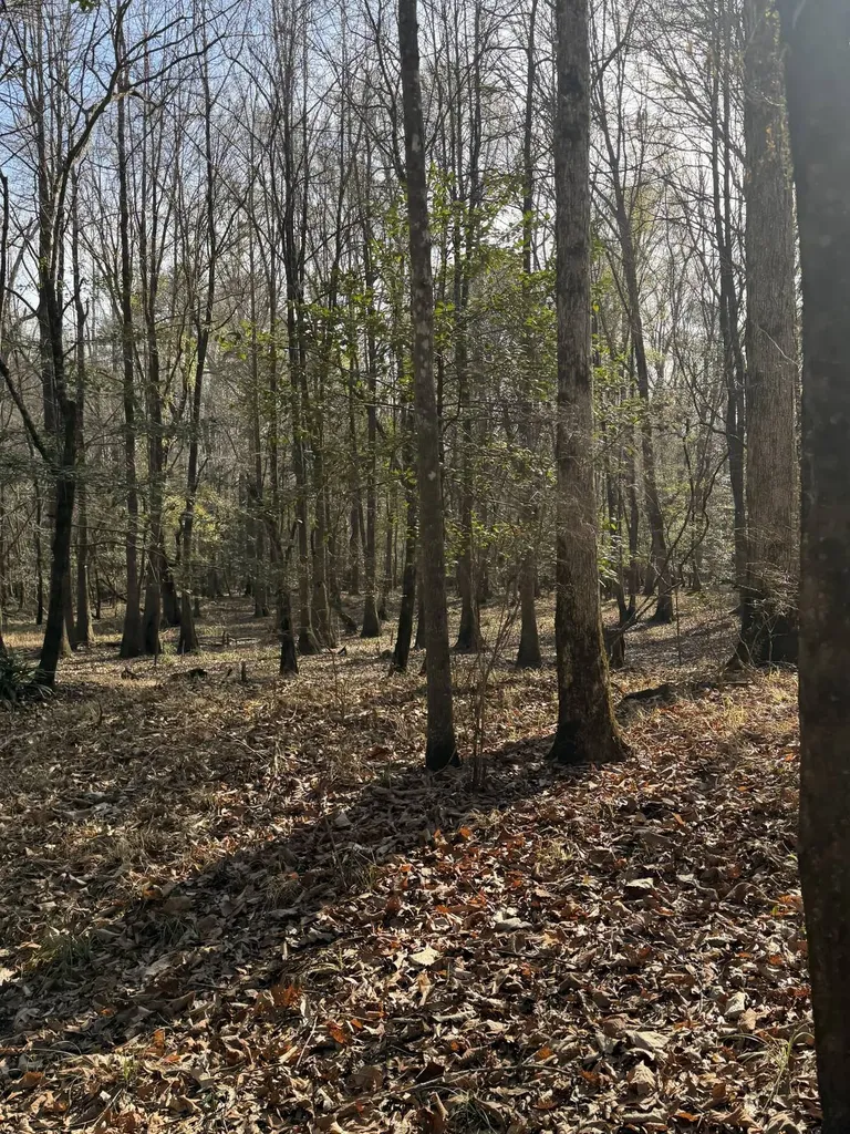 0 Highway 106 Branltey AL 36009