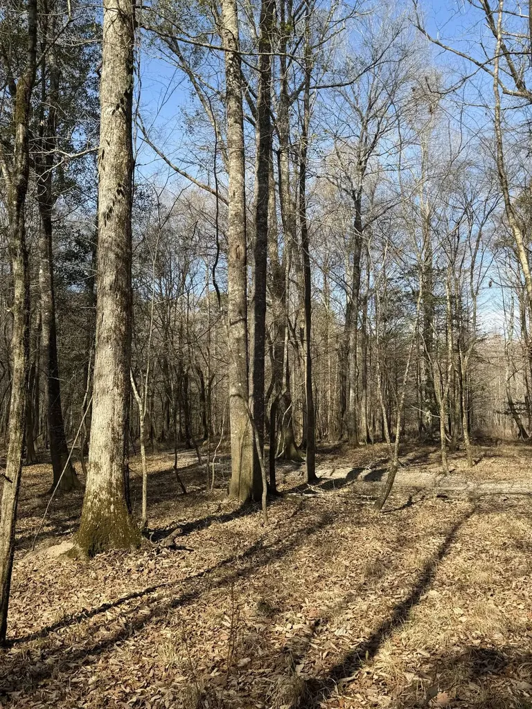 0 Highway 106 Branltey AL 36009