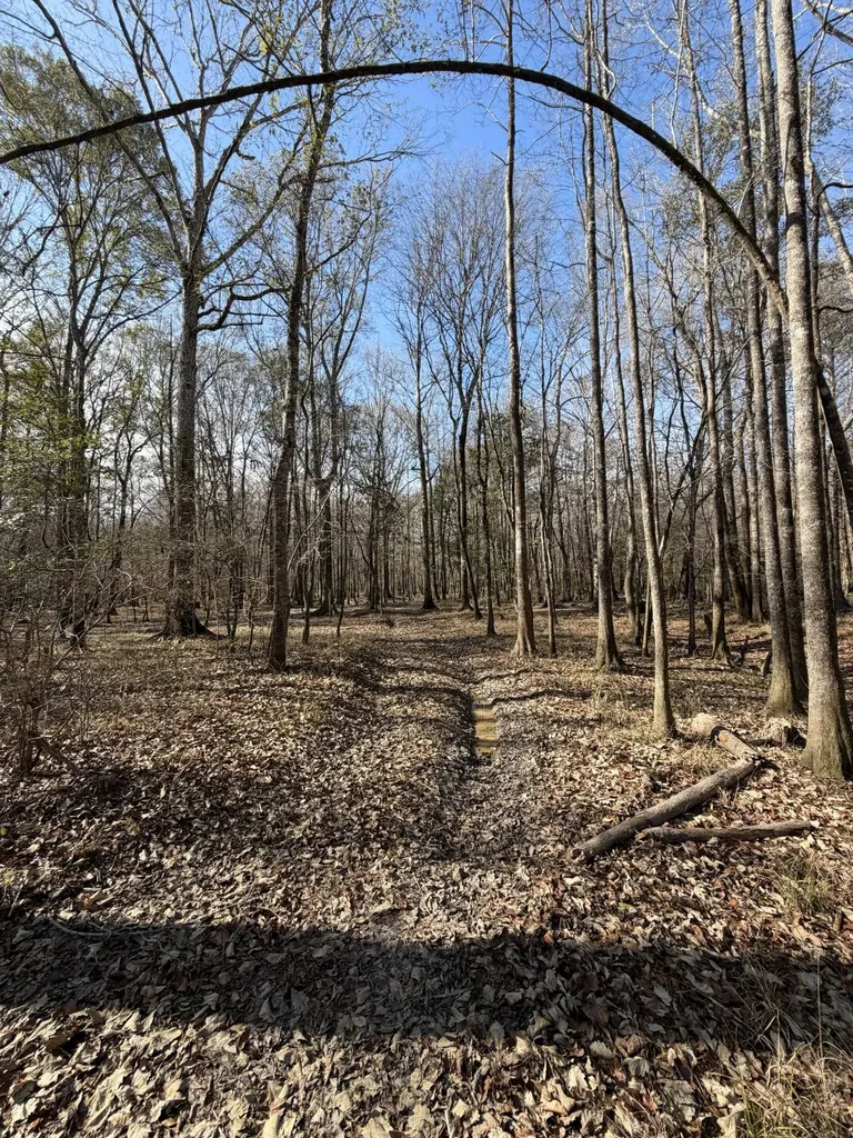 0 Highway 106 Branltey AL 36009